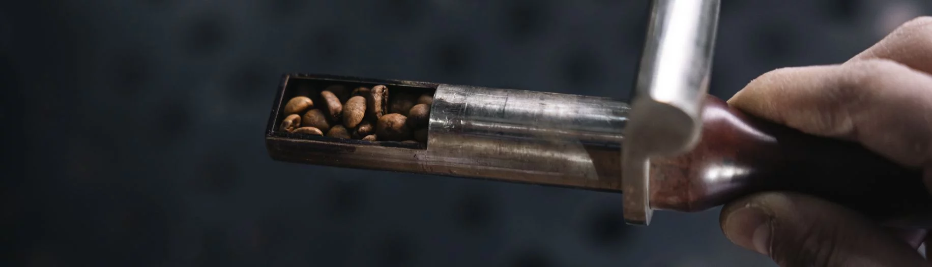 Origini promessa banner