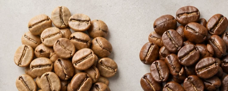 Elisir Caffè Miscela Rubino