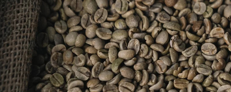 Elisir Caffè Miscela Rubino