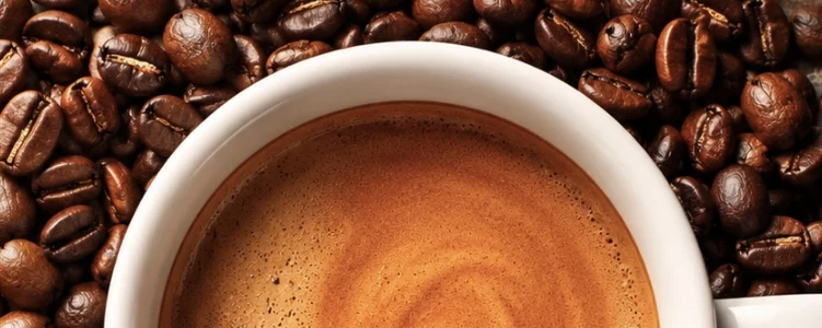 Elisir Caffè Miscela Rubino