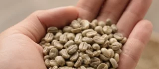 Elisir Caffè Miscela Rubino