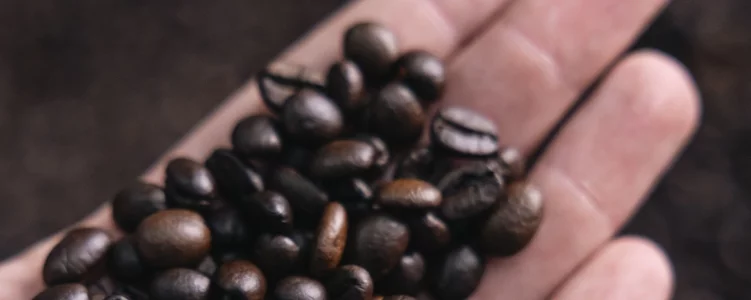 Elisir Caffè Miscela Rubino