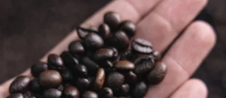 Elisir Caffè Miscela Rubino