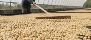 Elisir Caffè Miscela Rubino