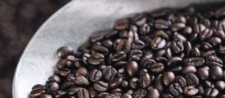 Elisir Caffè Miscela Sublime