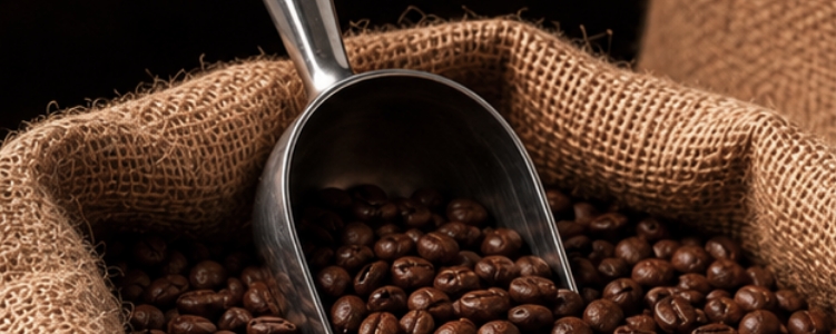 Elisir Caffè Miscela Sublime