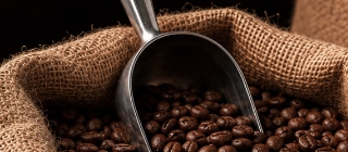 Elisir Caffè Miscela Sublime