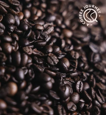 Collezioni qualita banner