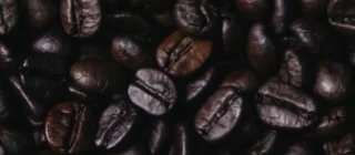 Falsimiti 1