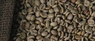 Parole 2