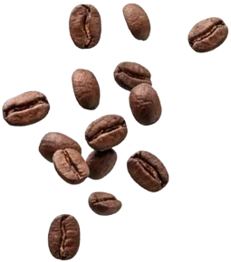 Elisir Caffè Miscela Rubino