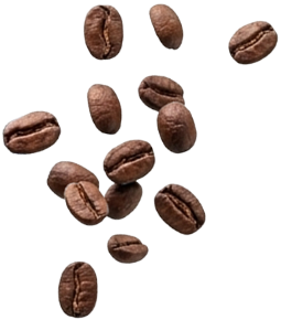 Elisir Caffè Miscela Sublime